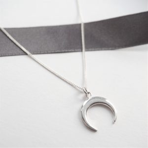 sterling silver necklace with horn charm